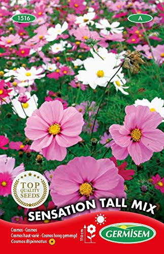 Germisem Graines Cosmos haut varié SENSATION TALL MIX