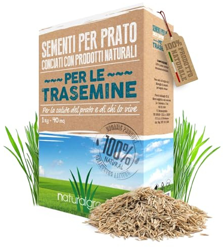 B4Green Semi Prato Crescita Rapida (40m²) per Trasemina e Risemina