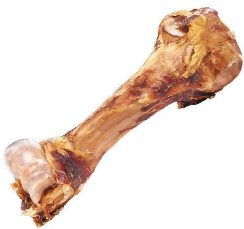 Schecker Hundeknochen - Dino Knochen vom Rind - naturbelassen - riesig - Bullen Oberschenkelknochen - 1 Stück - Gewicht von bis zu 2 kg