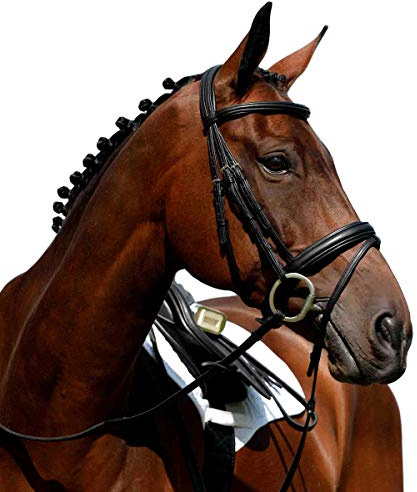 Collegiate Syntovia+ Padded Raised Flash Bridle, Black, Cob