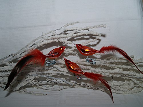 Jingle Bells Lauscha Feuervogel - Glasvogel 3 Stück per Box mundgeblasen handdekoriert
