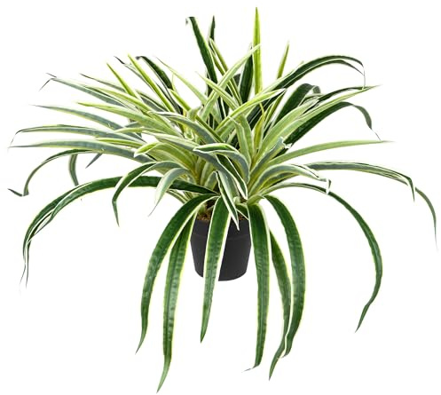 Northlight Artificial Two Toned Potted Spider Plant - 13