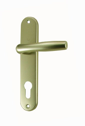 DOOR TOOLS Poignée de porte ROISSY en aluminium Champagne 165 mm Tcyl