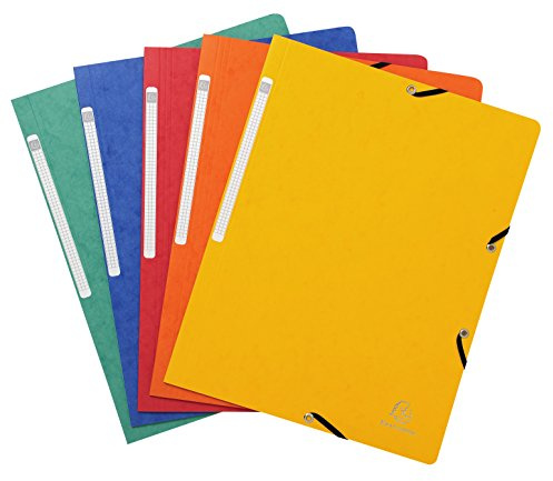 Exacompta 55410E - Pack de 10 carpetas con goma, multicolor