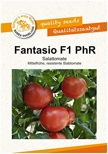 Tomatensamen Tomate Fantasio F1 PhR Freilandtomate Portion