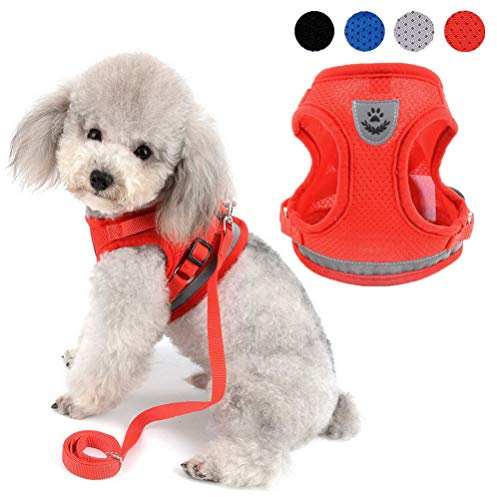 Zunea - Arnés ajustable para cachorros, perros pequeños o gatos, sin tirones, de malla suave, acolchado, arnés con correa y logotipo reflectantes, ideal para entrenamiento, salir a pasear y a correr