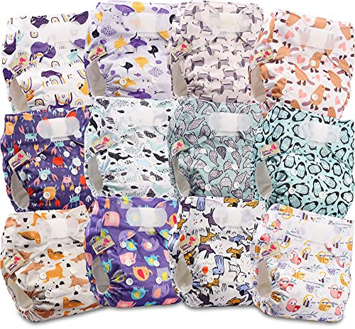 Littles and Bloomz FLV2-1202 Wiederverwendbare Stoffwindel, Standard-Klettverschluss, 12 Windeln