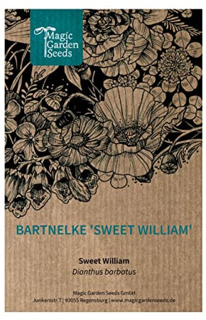 Bartnelke 'Sweet William' (Dianthus barbatus) - ca. 100 Samen