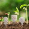 Risegun Pflanzenschilder, 100 Stück Pflanzenstecker Metall Gartenschilder Wetterfest Pflanzen Etiketten Namensschilder für Blumen, Gemüse, Kräuter