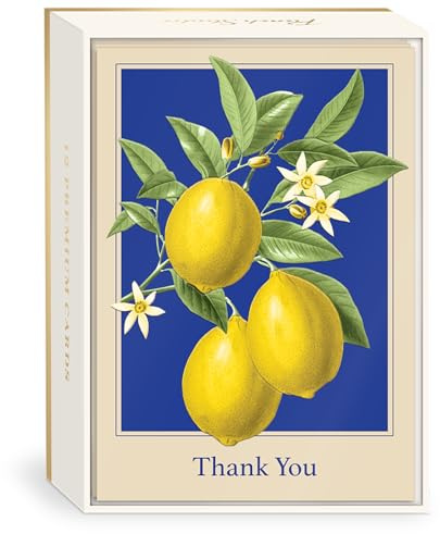 Punch Studio 12-Count Luxe Thank You Cards, 3.5 x 5, Lemons
