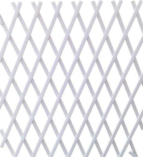 NG NICCOLAI - TRALICCIO ESTENSIBILE IN PLASTICA VARI COLORI E MISURE (BIANCO, 1X2 MT)