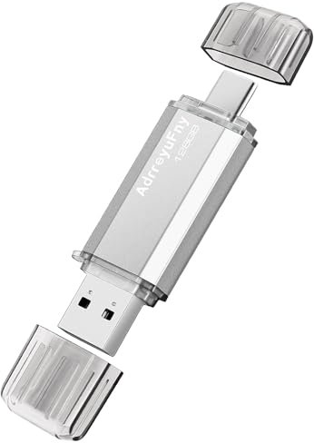 AdrreyuFny Memoria USB 128GB, Tipo C Flash Drive USB 2.0 Pen Drive 128 GB 2 en 1 OTG USB C Pendrive para Smartphones, Tabletas y Otras Dispositivos USB o Tipo C (Plata)
