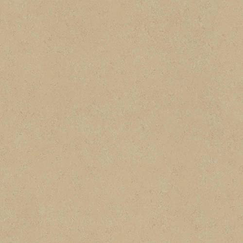 A.S. Création Einfarbige Tapete Beige für Küche Matt 385943 Uni Vlies-Küchentapete Modern 10,05x0,53mb 385943