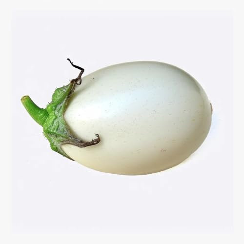 60 Semi di Melanzana White Egg - SemiSelvaggio Permacultura