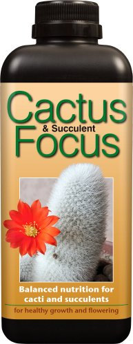 Cactus and Succulent Focus 1 Litre