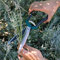 Burgon & Ball RHS empfohlene Strauchschere, 30,5 cm Länge