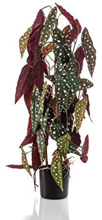 artplants.de False polka dot begonia MICHIKO, green-white, 75 cm - Artificial green plant