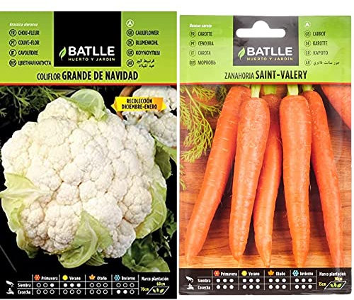 Coliflor grande NAVIDAD (dic-en) & Zanahoria SAINT VALERY