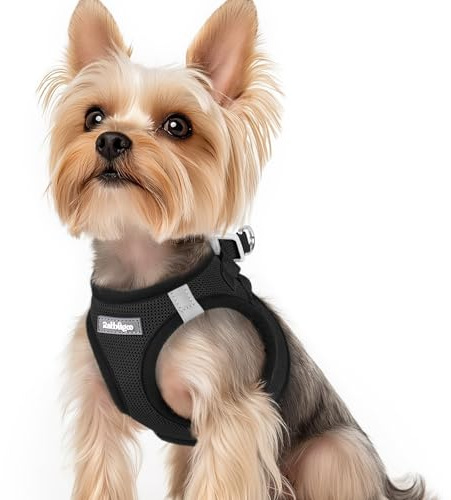 rabbitgoo Hundegeschirr Kleine Hunde, Step-in Welpengeschirr Weich Mesh für Spaziergänge, Atmungsaktives und Reflektierendes Brustgeschirr für Kleine und Mittelgroße Hunde, Schwarz, XS