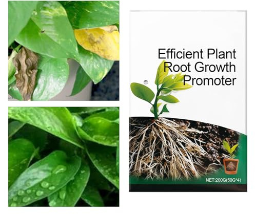 Polvo de Enraizamiento para Plantas - Fertilizante Concentrado Con Nutrientes - de Crecimiento para Plantas | Para Esquejes Semilleros Sustrato Árboles de Interior Flores Césped Compost Jardín