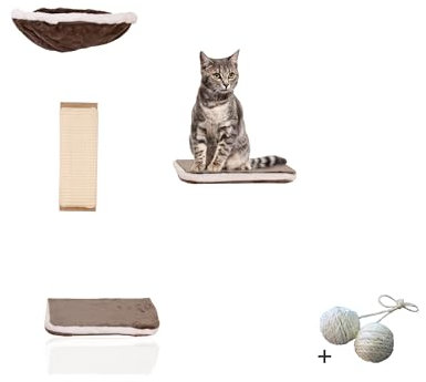Rohrschneider - Vierteilige Kletterwand für Katzen - Wandmontage Katzenmöbel-Set mit Hängematte und Spielmöglichkeiten, Grau