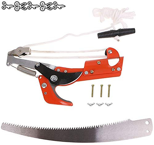 Cesoie da giardino Potatura, Cesoie per bordi a manico lungo, 2 in 1 Forbici per rami alti per esterni Cesoie per potatura Attrezzi da giardino (forbice + sega, senza stelo)