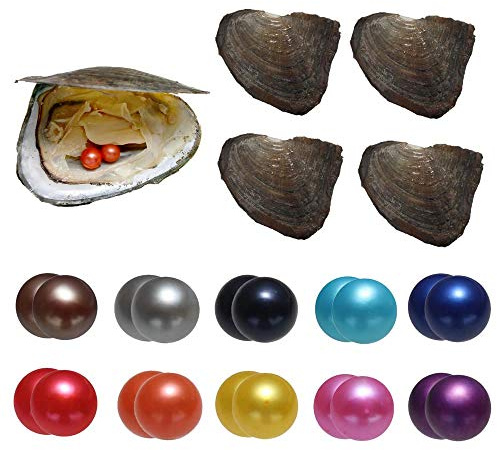 Twins Freshwater Oysters with Pearl Inside - Mixed Colors Round Pearl Kit - Total 20Pcs in 10 Oysters