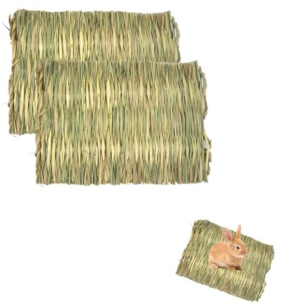 Gfamous 2 Pièces Tapis d'herbe pour Les Lapins,Hamster-Tapis-d'herbe, TapisHerbe pour Petit Animal, TapisHerbes-Tissé-Naturel pour Hamster, Lapins, Cochon d'Inde, Chinchilla