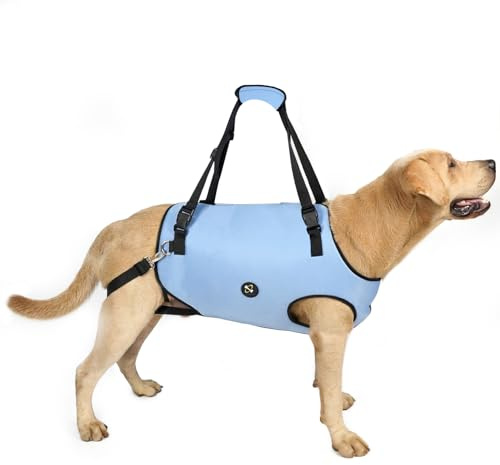 Coodeo Imbracatura per Cani, Sling di Supporto e Riabilitazione Regolabile con Cinghie Padded e Traspiranti per Cani Anziani, Disabili e con Infortuni Articolari. (Blu, 2XL)