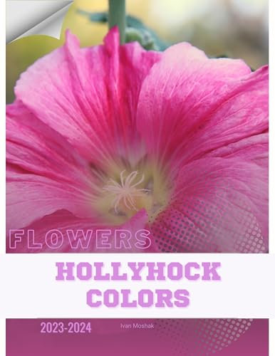 Hollyhock Colors: Become flowers expert