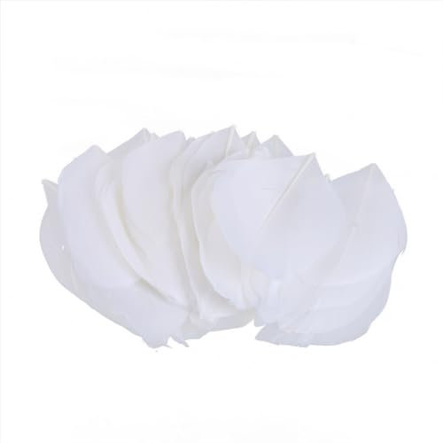 ihreesy 5cm-8cm Natur Federn zum Basteln,50 Stück Natürliche Gänsefedern Handgefertigte Pflaumen Deko Federn Bastelfedern für DIY-Kunst Handwerk Collage Friseur Zuhause Hochzeit Geburtstag,Weiß