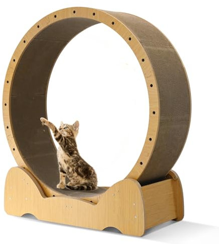 Katzen-Laufrad mit Kratzpad, 100cm große Katzenräder für Indoor-Katzen, vielseitiges Katzenlaufrad Laufband für Cat Gewichtsverlust und Gesundheit (L)