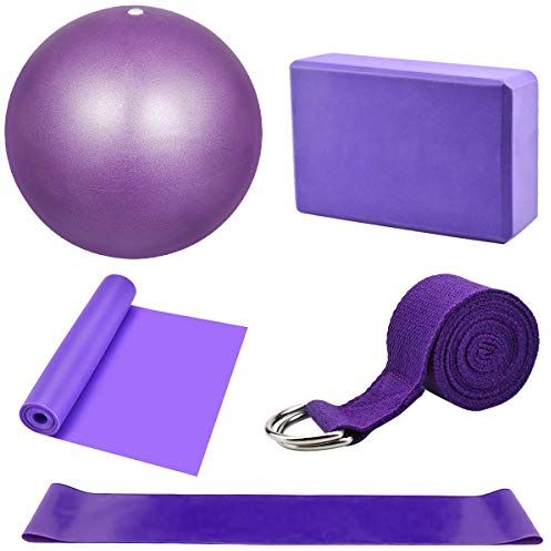 Dokpav Kit de Accesorios para Pilates Set de 5 Bandas Elásticas Fitness,Goma elasticas Musculacion,Bloque de Yoga,Pequeña Pelota de Pilates,Bandas de Resistencia para Yoga,Pilates,Fitness (Púrpura)