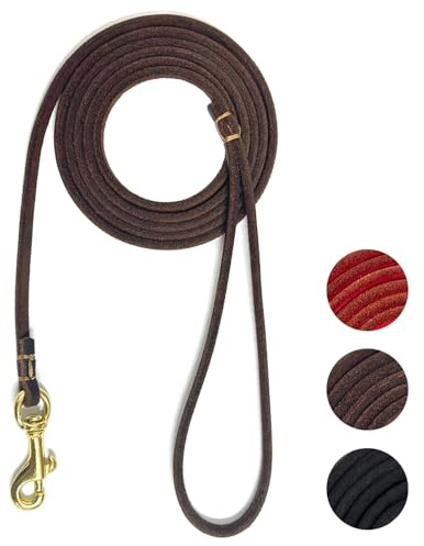 Guiding Star Leather Dog Leash 6 ft x 1/4 inch,Thin and Lightweight Leather Leashes for Small Dogs,Leather Cat Leashes for Small Cats,Soft Genuine Leather Dog Training Leashes for Petite Dogs Brown