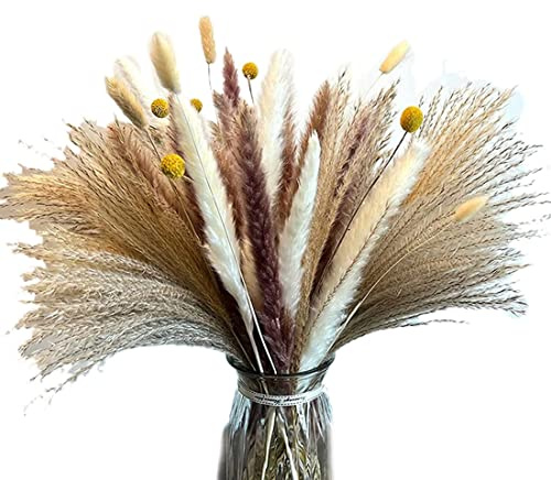 Junterone Paquete de 60 Pampas Naturales Hierba 17.72 Pulgadas Pampas Hierba DecoracióN Flores Secas Flores Secas Esponjosas