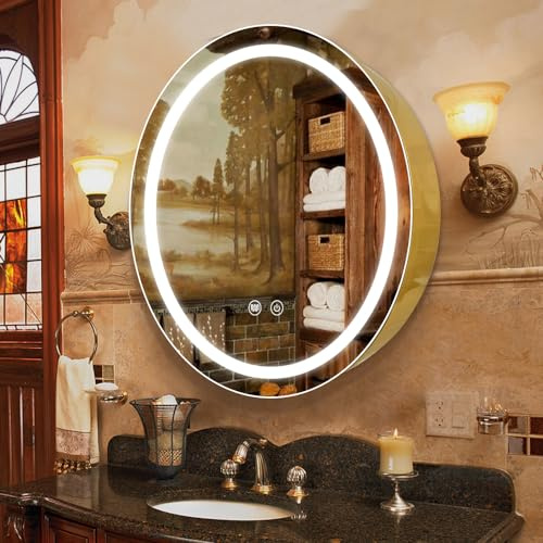 Janboe 66 cm runder Medizinschrank mit Lichtern, LED-Medizinschrank mit Entnebeler, beleuchteter Spiegelschrank für Badezimmer, dimmbar, beschlagfrei, 3000 K-6500 K Farbtemperatur,Golden