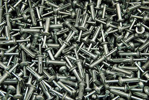 Lexar Industrial (250) Mushroom Head 1/4 x 1 Hammer Drive Pin Anchors Nail-in Hammer-in Rivet