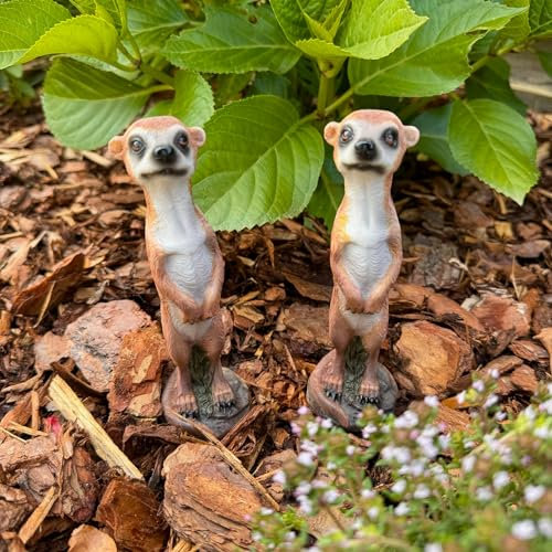 Online Fuchs Erdmännchen Deko Figuren im Set für den Garten - Gartenfiguren wetterfest aus Kunstharz für außen (2 x 15 cm)
