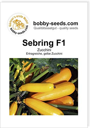 Sebring F1 Zucchinisamen von Bobby-Seeds, Portion