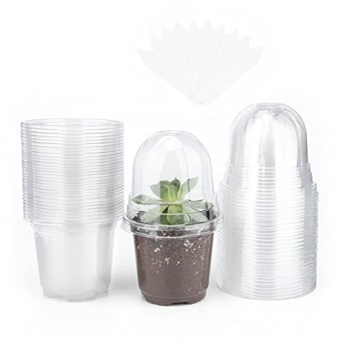 KINGLAKE 32 Pieces Pot semis Pot de Fleurs en Plastique Transparent avec Couvercle Transparent et 10 étiquettes de Plantes en Plastique 10 x 2cm