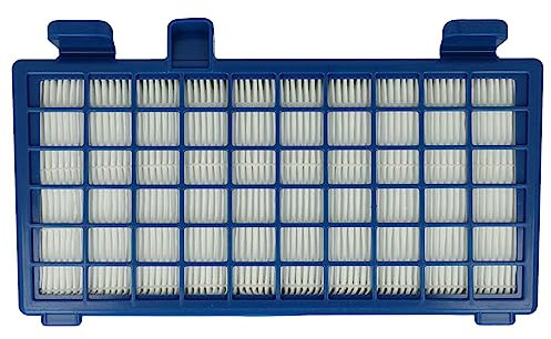 vhbw Filtre compatible avec Rowenta X-Trem Power Cyclonic RO6235, RO6235ea/410, RO6239, RO6242 aspirateur - Filtre HEPA