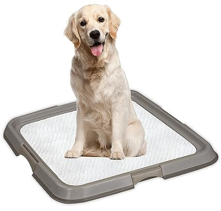 PAWISE Hundetraining Pad Halter Tablett, Indoor Welpen Töpfchen Pee Pad Boden Tablett, 23,5 x 23,5 Zoll, groß