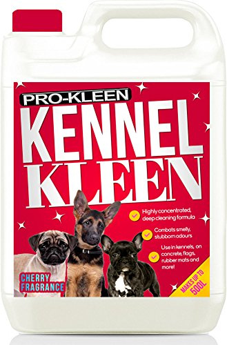 Pro-Kleen Kennel Disinfectant, Cleaner & Deodoriser (Cherry Fragrance) - 5L Pack - Kills 99.9% of Bacteria and Removes Nasty Urine Pet Odours - Suitable for Kennels, Hutches & More