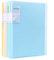 GUOKOFF A4 Sichtbuch (4 Farbe, 4 Stück), Präsentationsbuch mit 40 Klarsichthüllen, A4 Display Folder, Projektordner Präsentationsordner, Präsentations-Schnellhefter, Präsentationsmappen