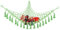 Corner Mesh Triangle, Toys Storage Woven Tassel Net, Soft Corner Hanging Netting Boho Stuffed Macrame Net Toy Storage Hanging Wall Toys Organizer Pocket Storage Swing Net for Home Toys (Fruit Green)
