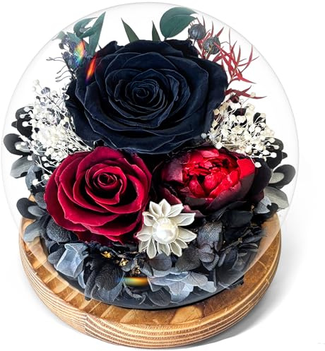 Touloube Rosa Preservada Regalos del Día de la Madre para Mujeres, Rosa Eterna Real con Luces LED, Ramo de Flores Reales en Cúpula de Cristal, Regalos para Mamá, Novia, Esposa, Cumpleaños