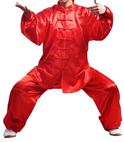 Andux Chinese Traditional Tai Chi Uniforms Kung Fu Clothing Unisex SS-TJF01 (Red, L)