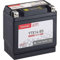 Accurat Motorradbatterie YTX14-BS - 12V, 12Ah, 250A, vorgeladen, wartungsfrei, LCD Display - Starterbatterie, LiFePO4 Batterie in Erstausrüsterqualität für Rasentraktor, Roller, Motorrad, Quad