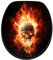Sanilo Toilet Seat, Stable Hinges, Easy to Mount, Wooden Toilet Seat Skull in Flames