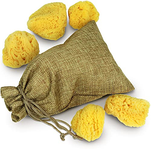 tom&pat Malschwamm Naturschwamm, kleine & große Künstler, Acrylmalerei & Aquarell Zubehör, Dermatest: Sehr gut, Künstlerschwamm, Acrylschwamm, Töpferschwamm aus Griechenland (5 x 3-7 cm)